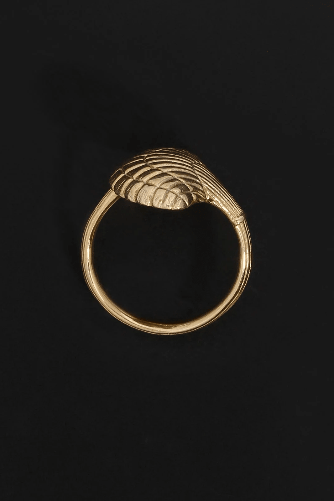 Eleni Ring - Gold - Rings - Temple Of The Sun - Women's fashion at The Freedom State
