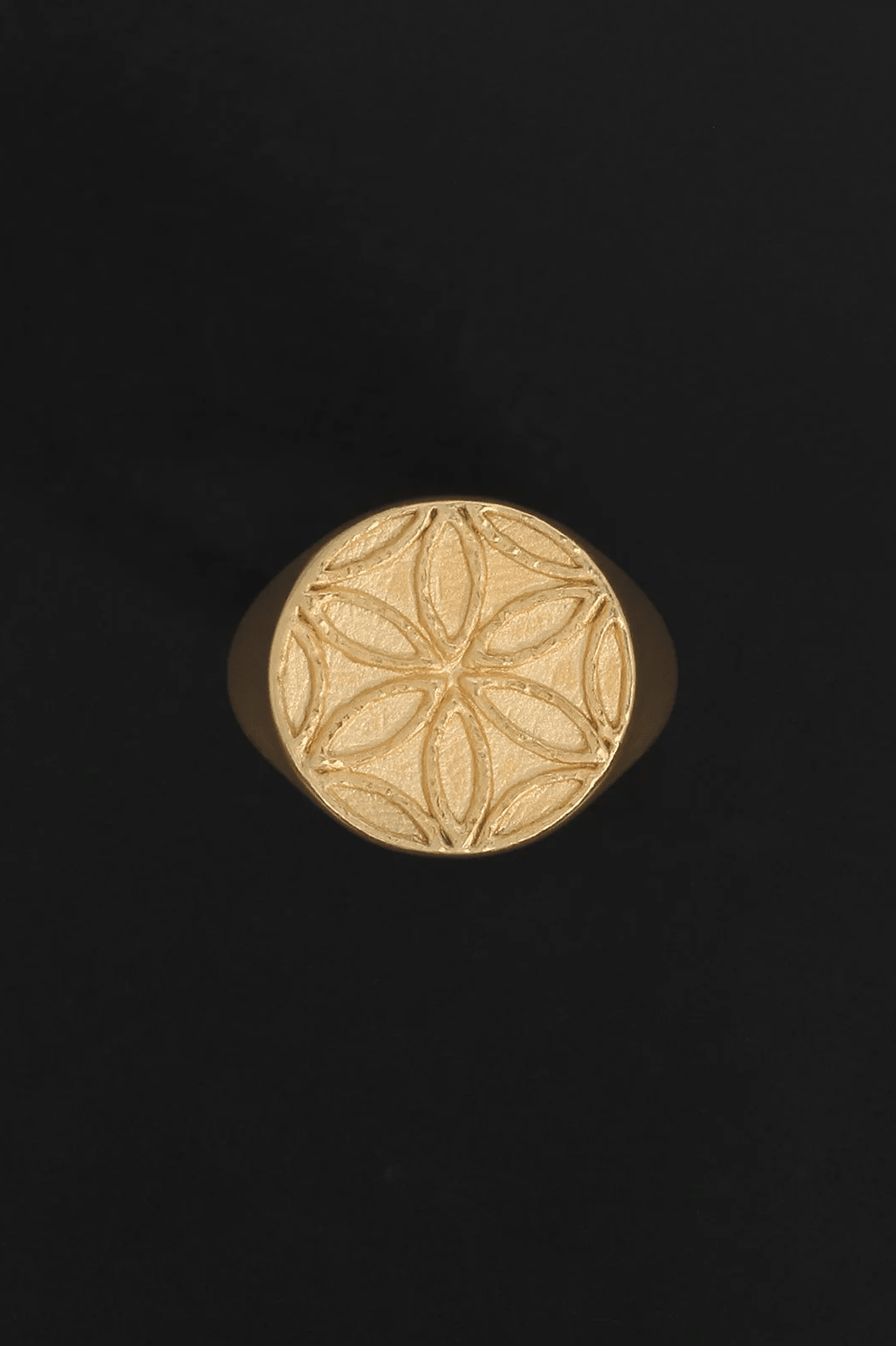 Seed Of Life Seal Ring - Gold - Rings - Temple Of The Sun - Women's fashion at The Freedom State