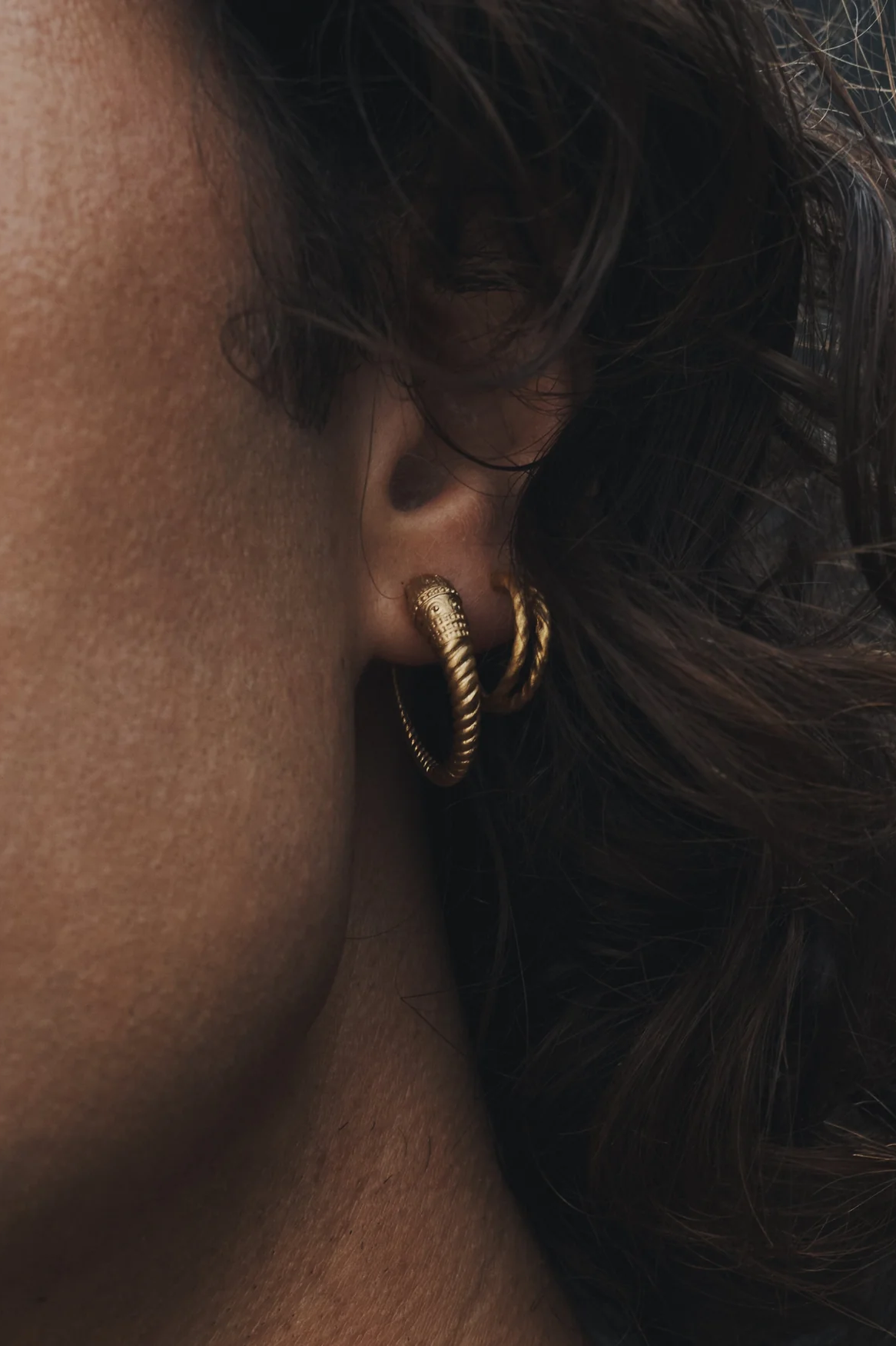 Loulon Lion Hoops - Gold