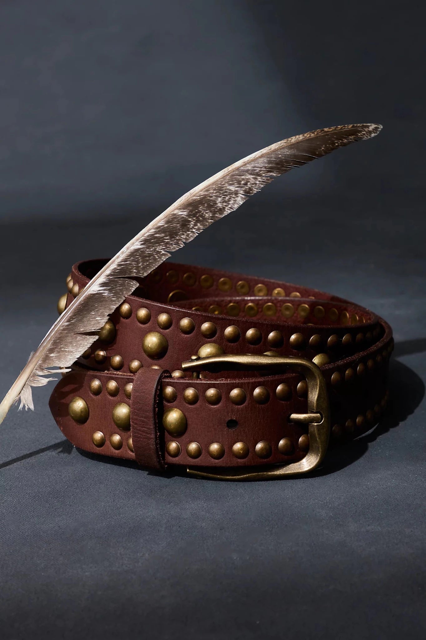 WTF Sola Stud Belt - Cognac - Belts - Free People - Women's fashion at The Freedom State