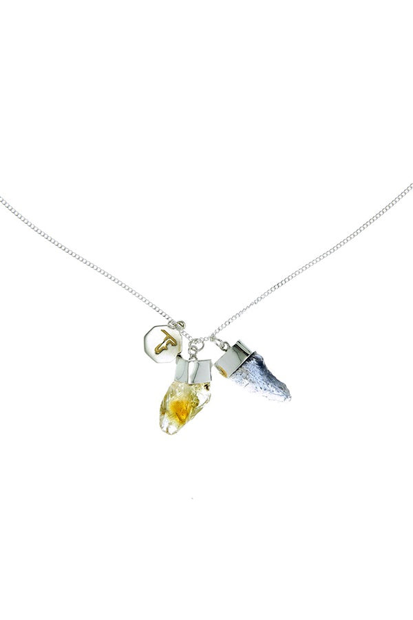 Tiger Frame Superpower Charm Necklace - Citrine and Iolite - Silver