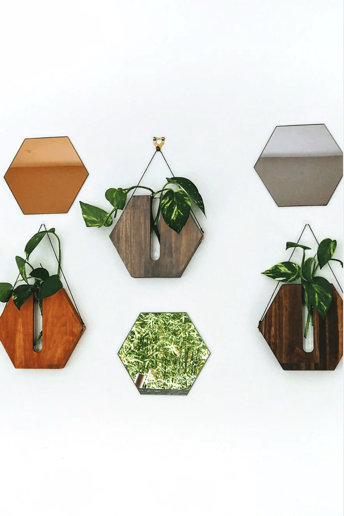 Honey Comb Wall Planter - Grey - Decor - Fab Signature - Women's fashion at The Freedom State