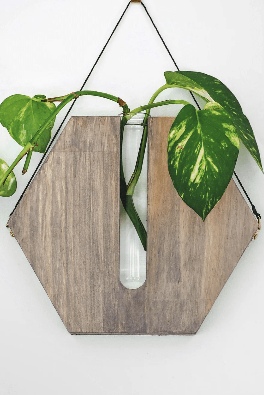 Honey Comb Wall Planter - Grey - Decor - Fab Signature - Women's fashion at The Freedom State