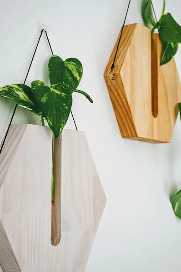 Honey Comb Wall Planter - Liming White - Decor - Fab Signature - Women's fashion at The Freedom State