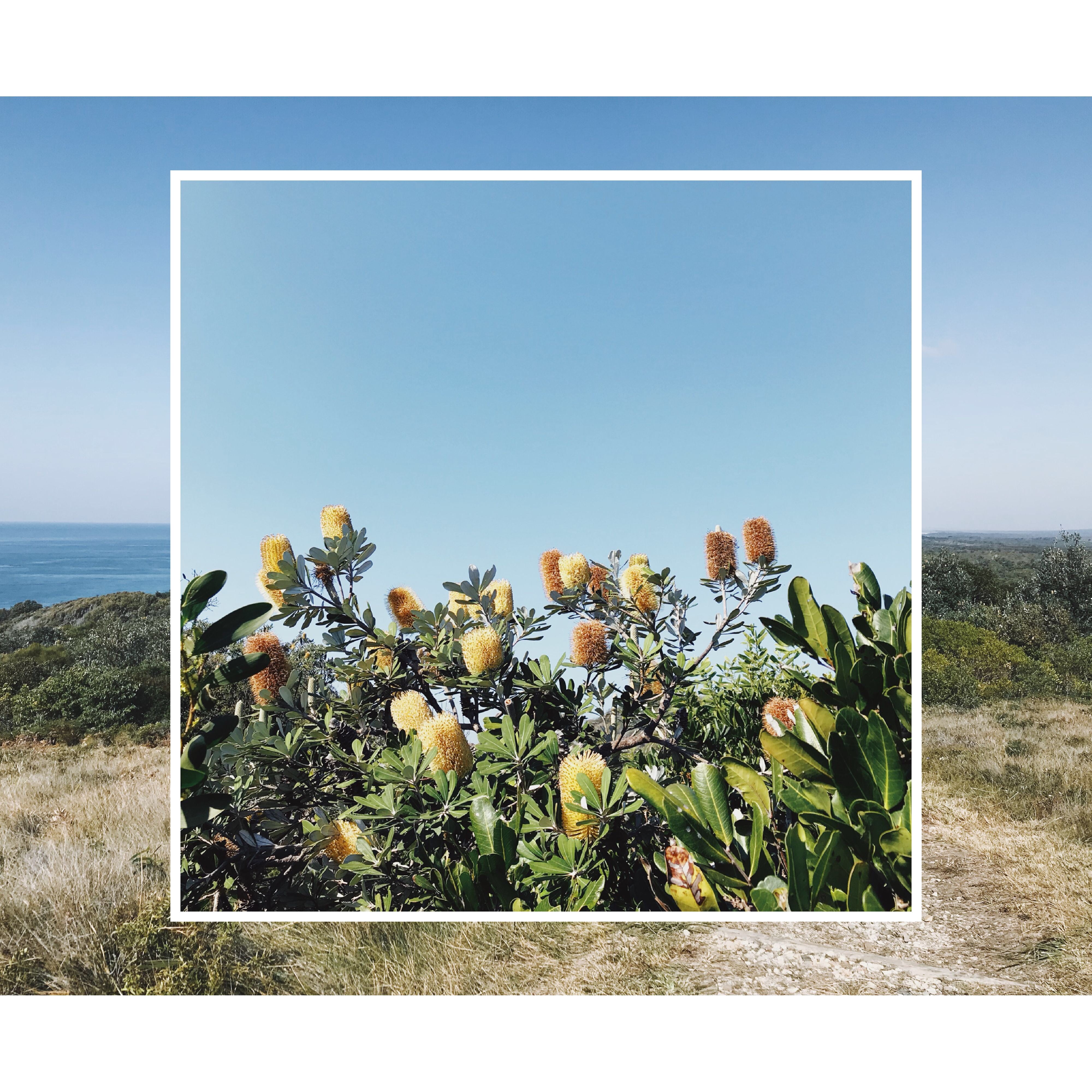 On Board With Eco - The Consciously sustainable Commitments Of Our Beloved Brands