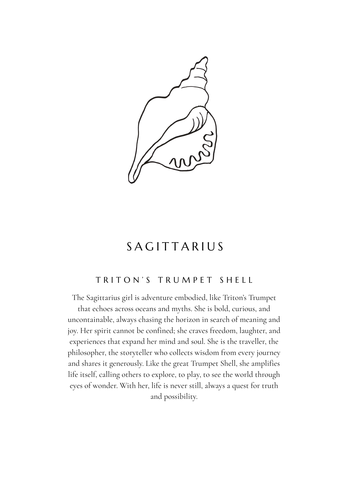 Sagittarius Zodiac Shell Print – Tritons Trumpet