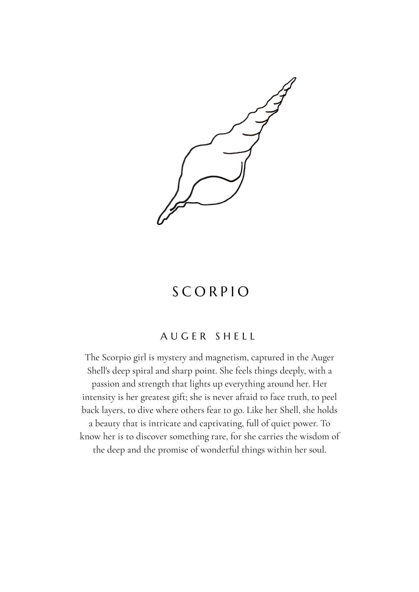 Scorpio Zodiac Shell Print – Auger