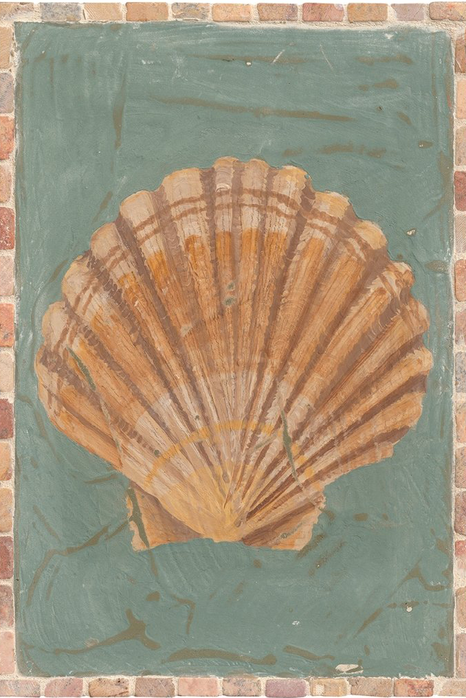 A4 Print - Scallop