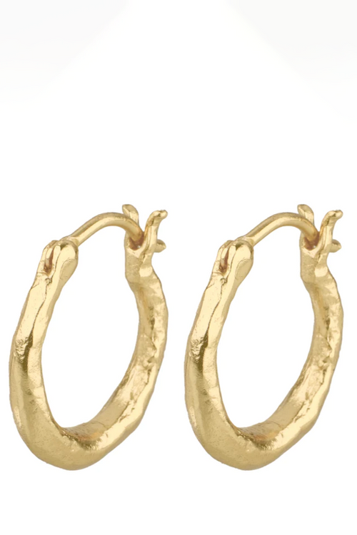 Cleopatra's Bling | Adele Hoop Earrings - Gold