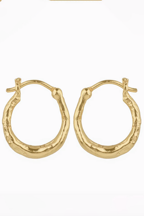 Cleopatra's Bling | Adele Hoop Earrings - Gold
