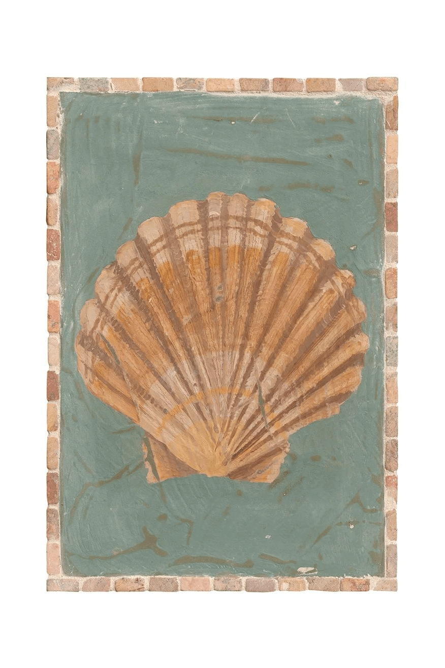 A4 Print - Scallop - Wall Art - Tahnee Kelland - Women's fashion at The Freedom State