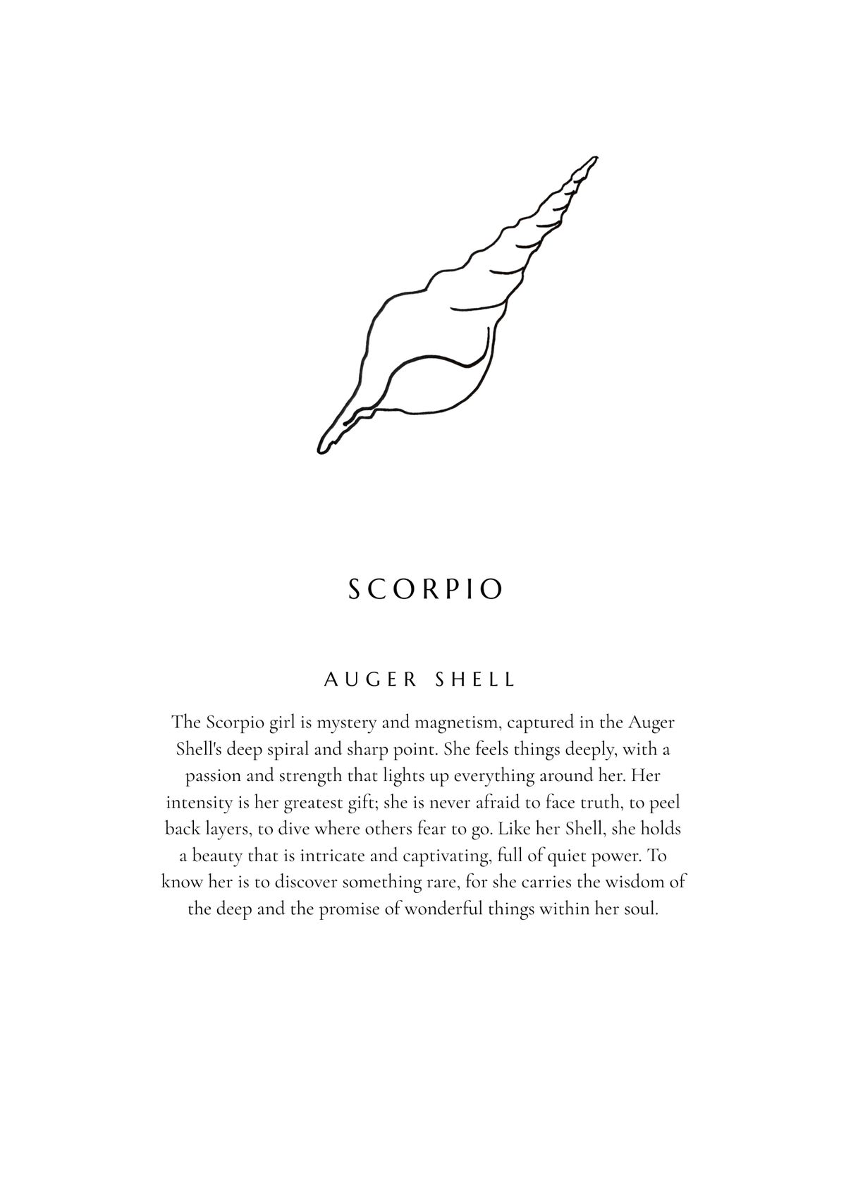 Scorpio Zodiac Shell Print – Auger - Prints - The Freedom State - Women's fashion at The Freedom State