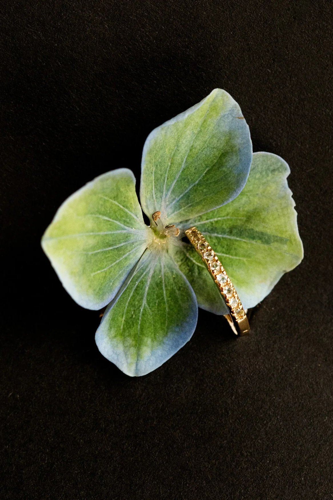Chloe Huggies Peridot - Gold