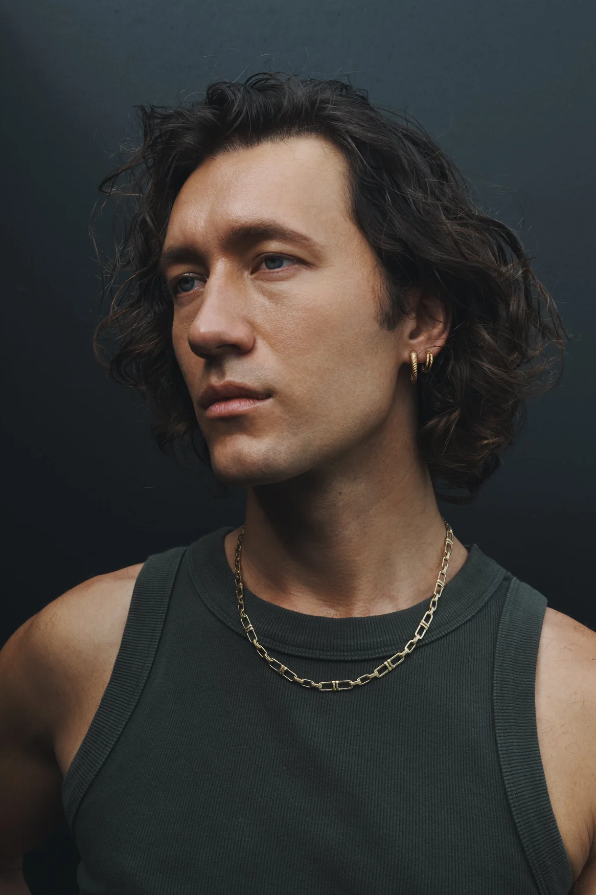 Loulon Lion Hoops - Gold