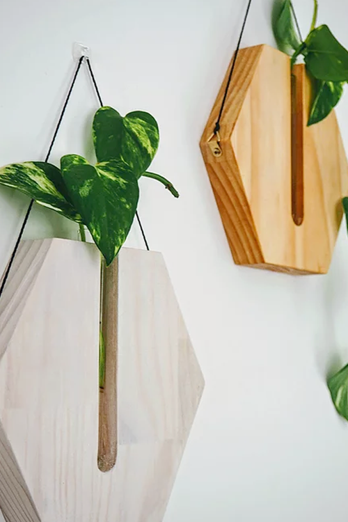 Fab Signature | Honey Comb Wall Planter - Liming White