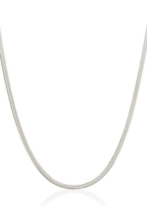 Saint Valentine | Sphinx 3mm Chain Necklace - Silver