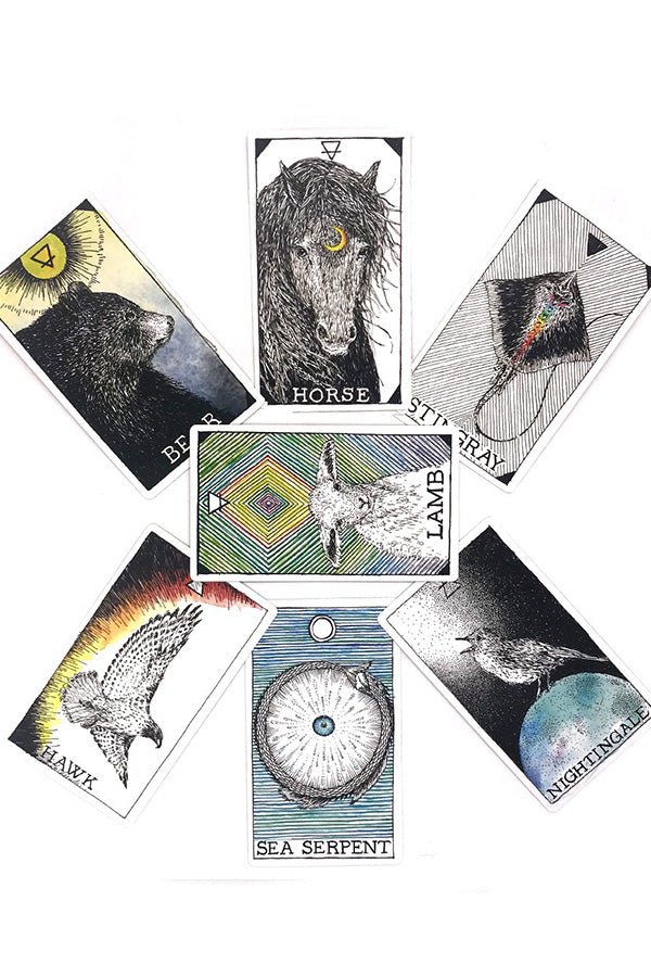 Animal Spirit Boxset - Card Decks - The Wild Unknown - Women's fashion at The Freedom State