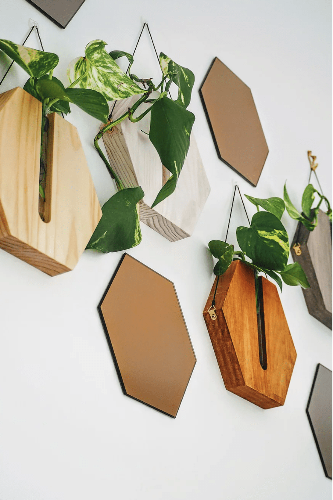 Honey Comb Wall Planter - Grey - Decor - Fab Signature - Women's fashion at The Freedom State