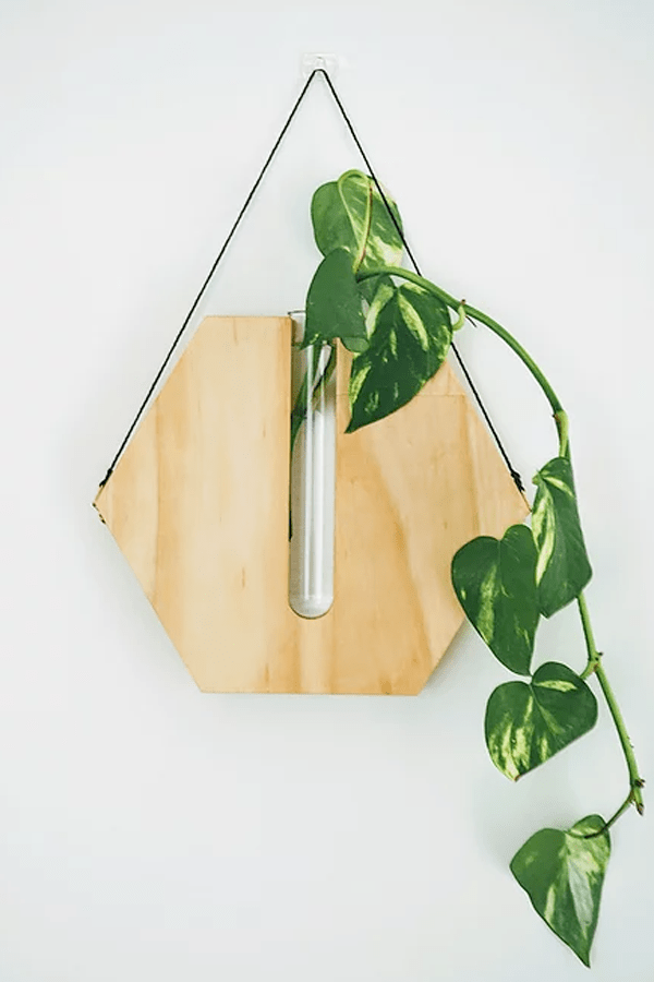 Honey Comb Wall Planter - Natural - Decor - Fab Signature - Women's fashion at The Freedom State